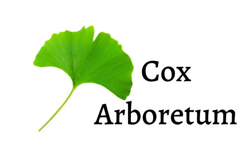 Cox Arboretum & Gardens